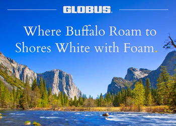 Globus: North America Savings