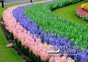 Viking: Tulips & Windmills Tour